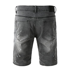 Purple Brand Denim Shorts #5094