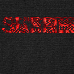 Supreme Swarovski Motion Logo Hoodie