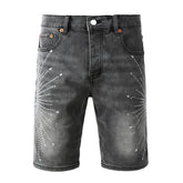 Purple Brand Denim Shorts #5094